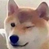 Shibo 的头像