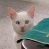 Profilbild von indrajaya