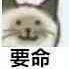 roadme's profile picture
