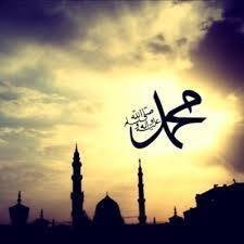 tarek__abdullah's profile picture