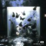 Фото профиля tou