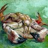Amaury Jose Mallo (AKA Arnaud Morganmeyer)'s profile picture