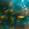 Фото профиля ble