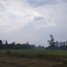 Sachin Chaudhary 的头像