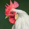 うんち profil fotoğrafı
