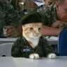 Letuanismo's profile picture