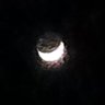 Dawn's profile picture