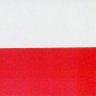 Człowiek z Rozumem 🇵🇱🇵🇱🇵🇱's profile picture