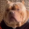 Фото профиля Thkool