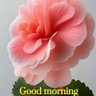 احلى علي الأحلى profil fotoğrafı