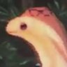 david's profile picture
