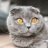 Hunter x's profile picture