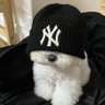 Profilbild von Pookie Copxz