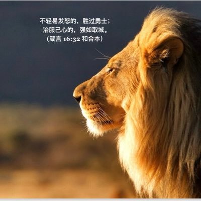 MichaelLu9527's profile picture
