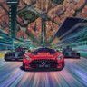 Douglas Camdedu (Pro Accelerecers)'s profile picture