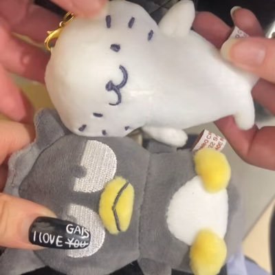 wapp__'s profile picture