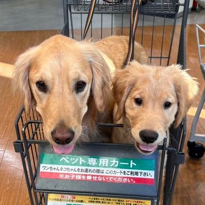 mugimeshi05's profile picture