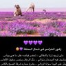 Фото профиля عرفج
