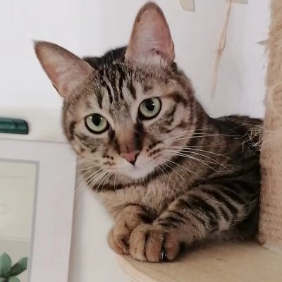 jerrymice's profile picture
