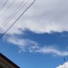 林檎村の響子 profil fotoğrafı