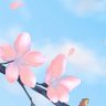 طيف 🌸 的头像