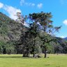 Impresiones e imágenes. 的头像