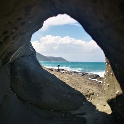 WJHERE's profile picture