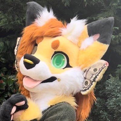 Emberstar's profile picture
