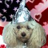 Dr. Rita Louise's profile picture