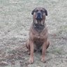 MoJo71's profile picture