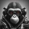 lolDev's profile picture