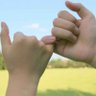 roedh profil fotoğrafı