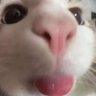 反正也没人看名字那就写长一点吧 的头像