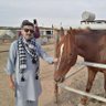 Фото профиля Umer Hayat