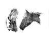 S.'s profile picture