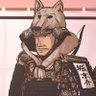 Nase Kyōsuke🇺🇦🇵🇱🇮🇪🏴󠁧󠁢󠁷󠁬󠁳󠁿🇯🇵 的头像