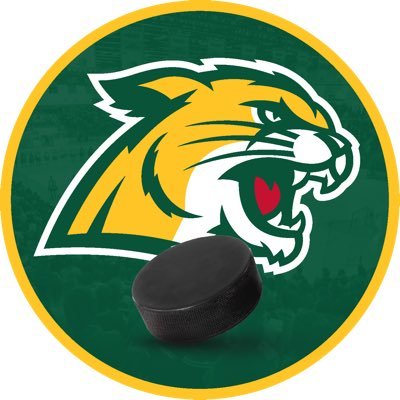 Northern Michigan Hockey's profile picture