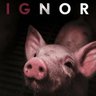 Profilbild von Margaret Johnson