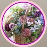 mi☪︎sa's profile picture
