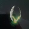 Фото профиля Roger