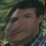 Bagel Mane's profile picture