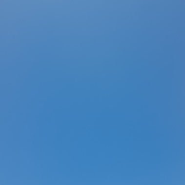 day's profile picture