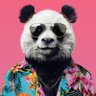 Telos Panda's profile picture