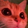 Profilbild von UFO