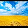Сергій Семаков profil fotoğrafı