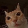 johnSniffOnYt's profile picture