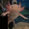 Profilbild von timmelbs8