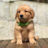 Фото профиля jimena_12