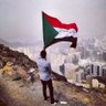 مونتي السوداني's profile picture