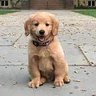 edgar |(Ø,G)'s profile picture